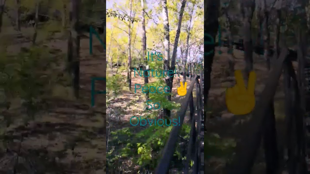 Exploring around|Relaxation of mind|