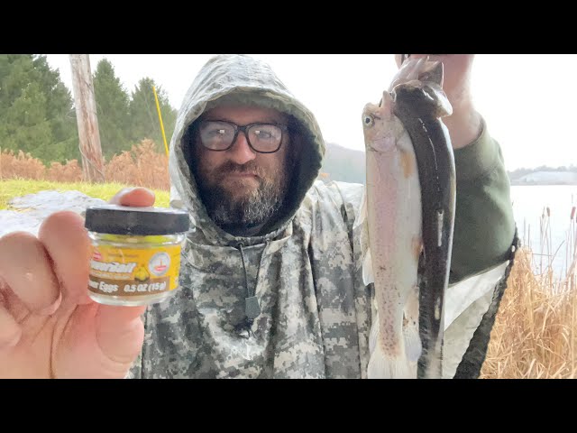 The BEST BAIT for stocked TROUT FISHING! Garlic scented floating power  eggs! 