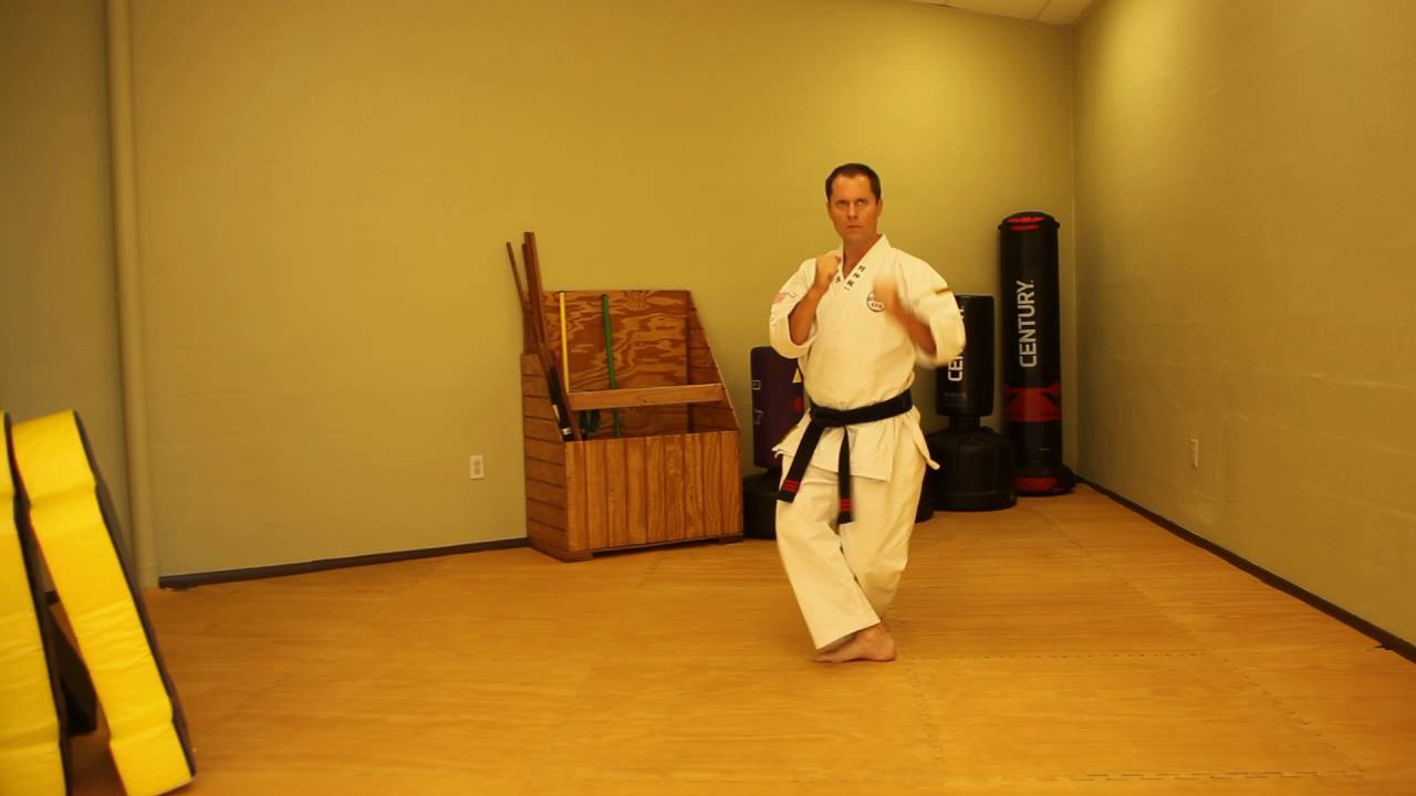 Front Kick, Roundhouse Combination