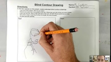 Blind Contour Drawing (Skill 1)