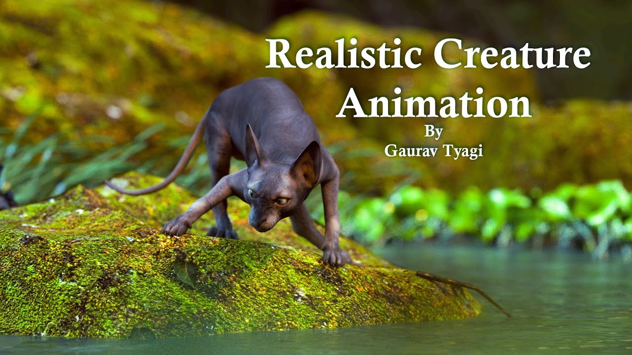 Creature Animation, Cat... 💖💖🐱‍👤🐱‍💻🐱‍🐉🐱‍👓🐱‍🚀 - YouTube