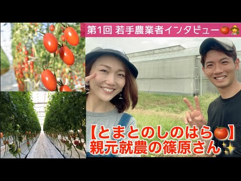 栃木県若手農業者インタビューNO.1【とまとのしのはら】