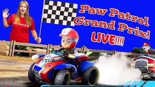 assistant races in the paw patrol grand prix and then plays paw patrol world