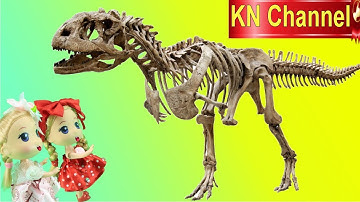 KN Channel BÚP BÊ THAM QUAN BẢO TÀNG ĐỘNG VẬT Đồ chơi trẻ em CỦA BÉ NA