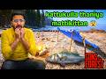 SONS OF THE FOREST Forest SURVIVAL Gameplay Earth SONS OF THE FOREST Forest SURVIVAL Gameplay Earth