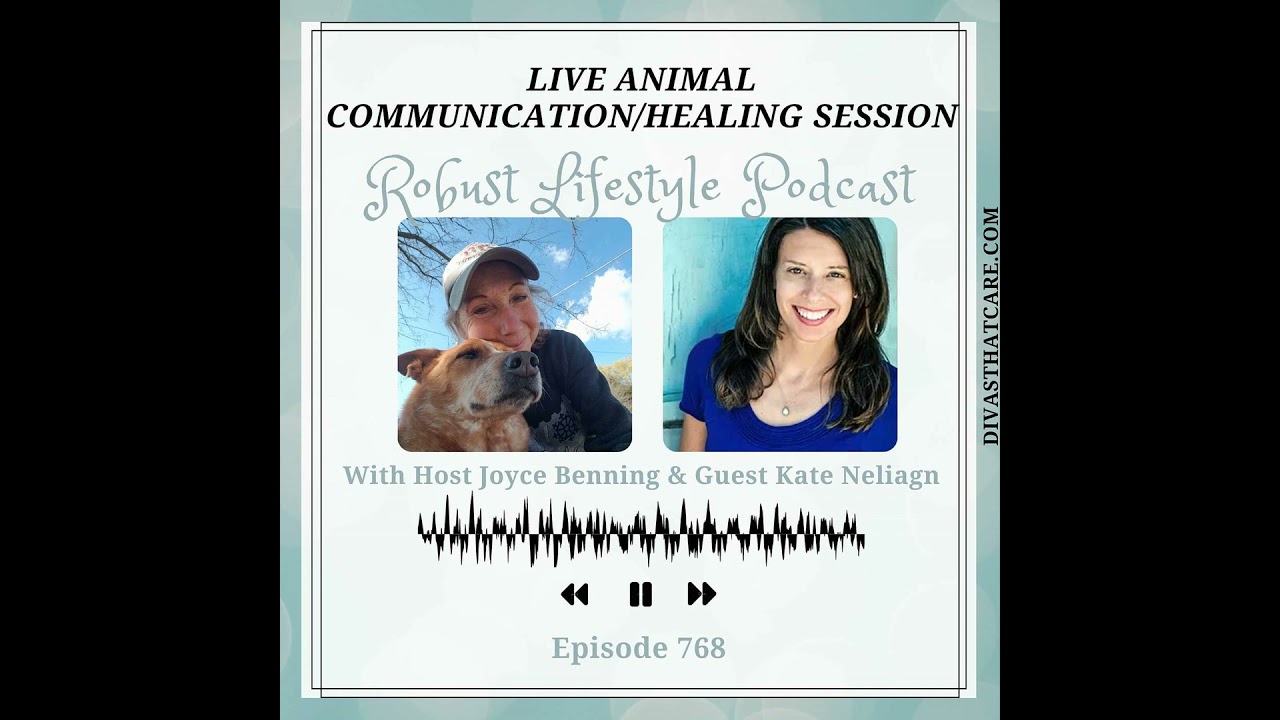Live Animal Communication/Healing Session