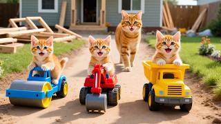 Mama Cat Trims Fur on the Farm and Makes Tiger Hat For Kittens At Home🐾🎩🐯