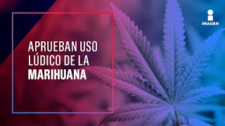 ¿Dónde se podrá fumar y comprar marihuana en México? | Noticias con Ciro Gómez Leyva