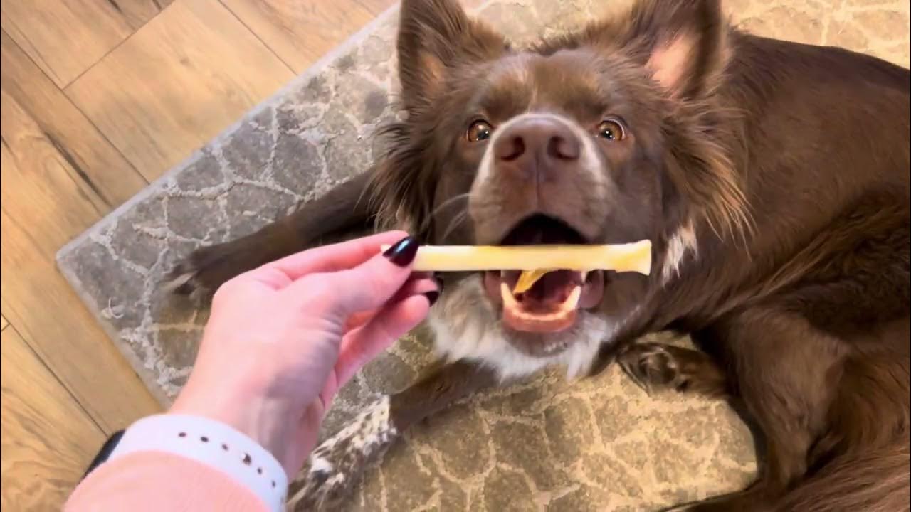 Tesadorz Ol' Roy Rawhide Free Chicken and Peanut Butter Retriever