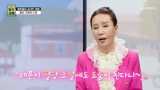 🍋레몬즙🍋 혈당 조절 & 혈관 노화 예방에 도움 TV CHOSUN 240417 방송 | [장수상회] 76회 | TV조선