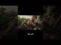 الفيديو الكامل على القناة | اشترك بالقناة | البذور وراها اشي كبير !!