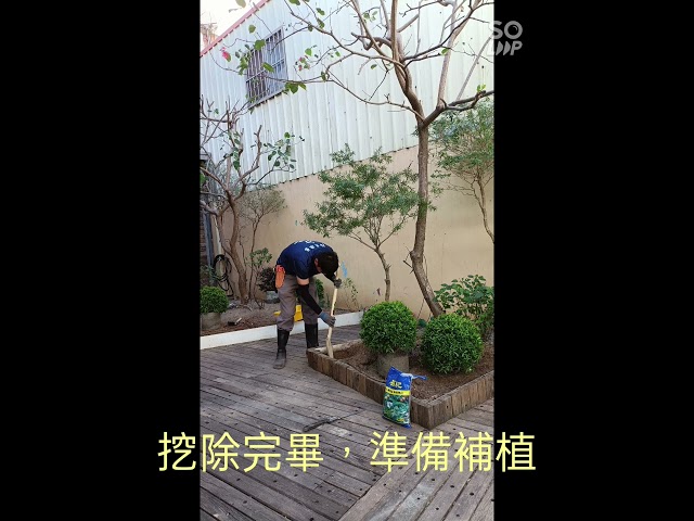 柏君園藝 -  柏君園藝 -