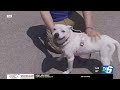 First responders share tips to beat the heat