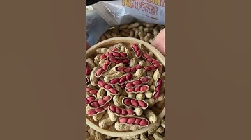 Trồng đậu phộng sẽ giúp cải thiện đất đáng kể!  #shorts