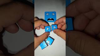 In the End!! Look, This is Good, Okay, It worked. #shorts Net Worth