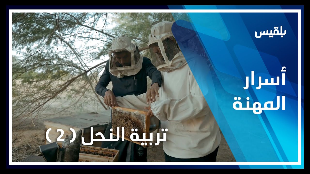 أسرار المهنة | تربية النحل.. أسرار العسل الحضرمي