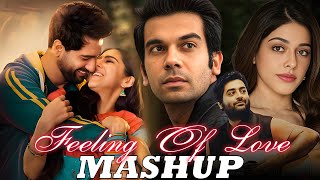 Feelings Of Love Mashup 2024 | Romantic Love Mashup | Arijit Singh Songs | Non Stop Love Mashup 2024