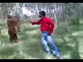 Naa Pranama Nanu Vidipokuma Emotional Love Song Telugu Video shiva