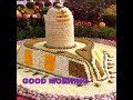Good morning best status by rajesh mishra Whatsapp Status Video Download Free