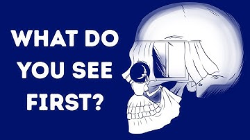11 Optical Illusions That