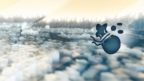 Assassins Creed Unity - Don