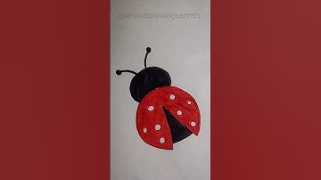 Easy cockroach for beginners #ytshorts #yt #shorts #shortsvideo #short #art #drawing #youtube #shots