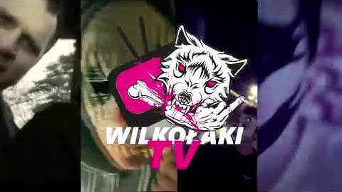 WILKOŁAKI TV - INTRO