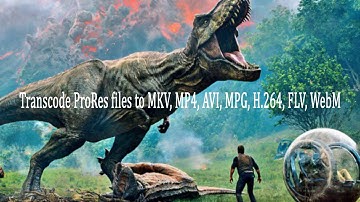 Transcode Apple ProRes files to MP4, AVI, MKV, MPG, H 264, FLV, WebM