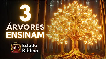 O que significa a oliveira na Bíblia?
