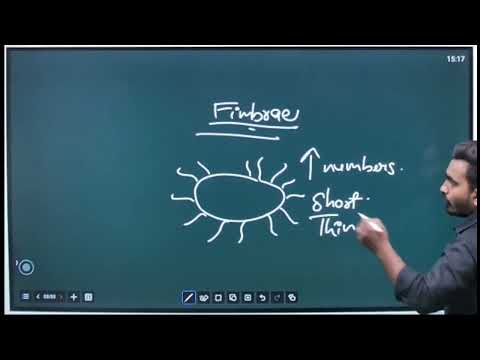 ⚡ Flagella Fimbriae Pilus | Most Important Microbiology Topic for GPAT NIPER DI & Semester Exams