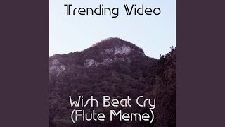 Wish Beat Cry (Flute Meme)
