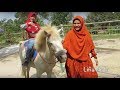 Lifia Niala Naik Kuda - Fun Kids First Time Riding Horse