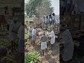 यह फसल प्रति एकड़ 100 क्विंटल तक पैदावार देती है, जिससे किसान आसानी से लाखों रुपये कमा सकते हैं।