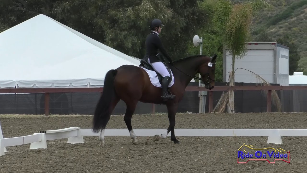 downs sims 107D Jaclyn Thomas on Aella Preliminary Rider Dressage Galway Downs May 2019
