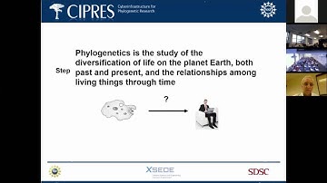 The CIPRES Science Gateway: A Public Resource for Phylogenetics