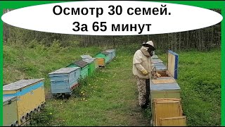 Осмотр пчелосемей после аномально холодной погоды, для понимания дальнейших действий.