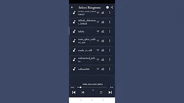 Islamic Ringtones App for Muslim in the world. App can work in Android devices.
