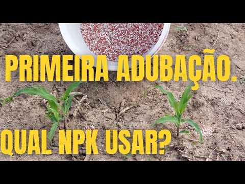 PRIMEIRA ADUBAÇÃO DO