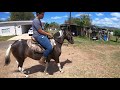 Despidiendo a Oreo luego de tres meses en la finca. #elcaballoyelcaballista