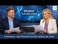 Fulvosäure – das vergessene Molekül der Zellgesundheit