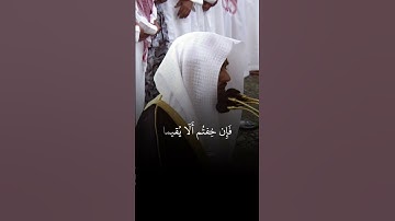 تكملة آية 228 وما تيسر من #سورة_البقرة، للشيخ/#عبدالله_القرافي. #القرآن_الكريم #تلاوة_خاشعة