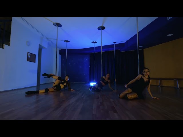 Exotic Pole από τις μαθήτριές μας για την ημέρα των ερωτευμένων 14 Φεβρουαρίου 2024