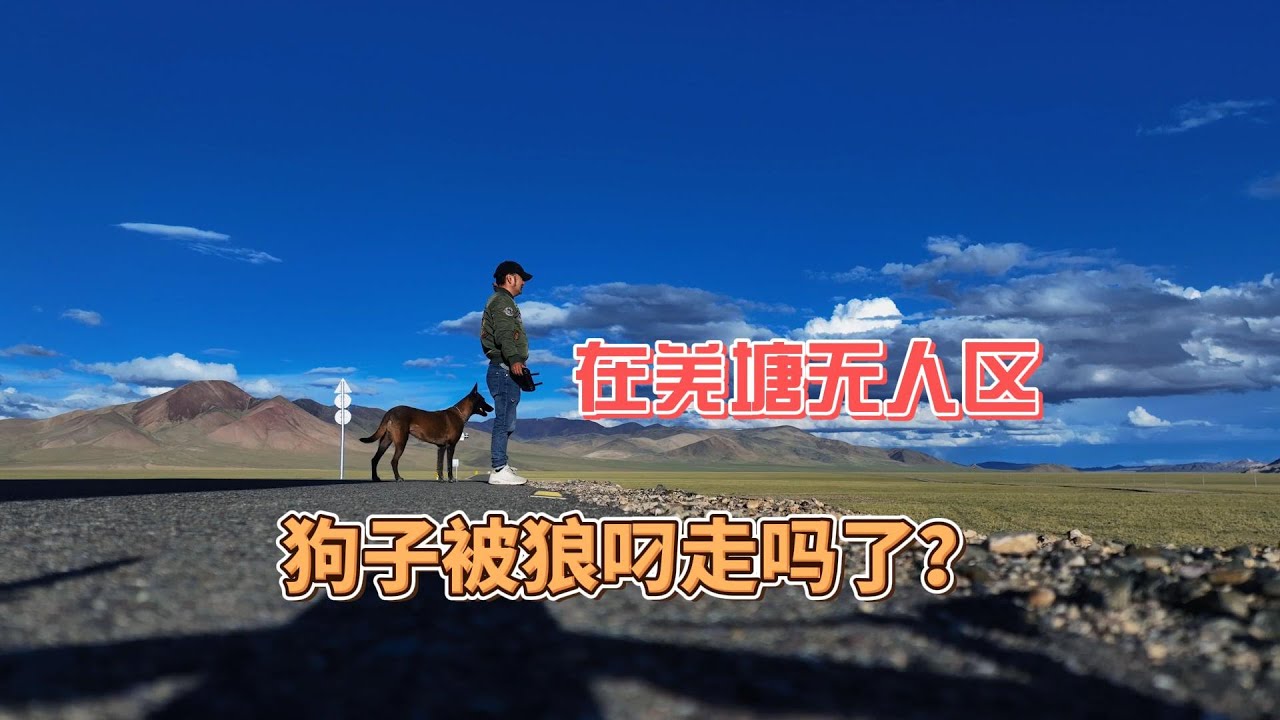 鐵牛旅行記760集/在羌塘無人區第2天狗子不見6小時，會不會被狼叼走了，用飛機都沒有找到怎麼辦？#狗是人类最忠诚的朋友 #環遊中國