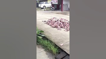 UANG JATUH (UDAH JANGAN RIBUT MASING2 AMBIL SATU YA)