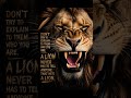 A Lion Never Explains Himself | The Power of Silent Confidence 🦁