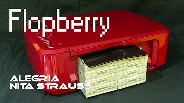 Flopberry: Nita Strauss - Alegria on Floppy drives and stepper motors