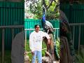 saturday vibes 🥳#viral #shortsvideo #hyderabad #zoo #telangana❤️💞