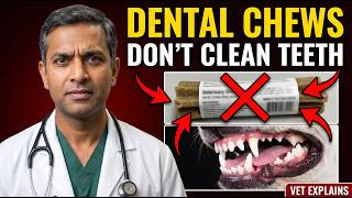 5 Things That Actually Clean Your Dog's Teeth (Dental Chews Aren't One)