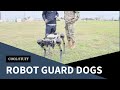 USAF Trials Robot Guard Dogs