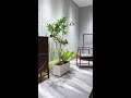 ”The Power of Nature in a Renovated Garden”